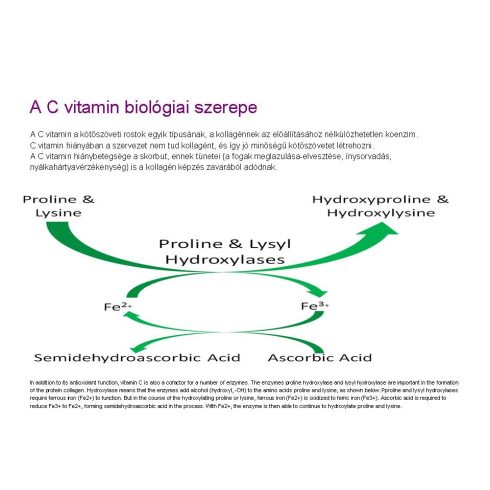 fito.C - 16% Vitamin C in Liposomes Serum  - 16% Liposzómás C Vitamin Szérum, 50ml